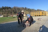 IMG_4549